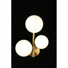 Бра APLOYT APL.314.01.03