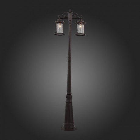 Садово-парковый светильник ST-Luce SL080.425.02