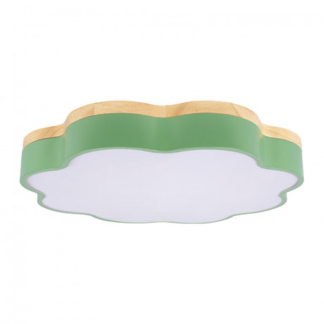 Накладной светильник LOFT IT 10225/36 Green