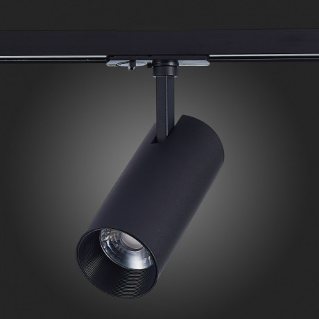 Светильник на шине ST-Luce ST350.446.20.24