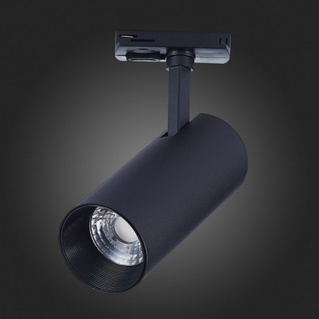 Светильник на шине ST-Luce ST350.446.20.24