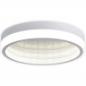 Накладной светильник Ambrella Light FA9431
