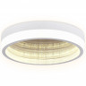 Накладной светильник Ambrella Light FA9431