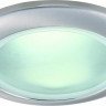 Влагозащищенный светильник ARTE Lamp A2024PL-1SS
