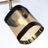 Накладной светильник Ambrella Light TR9525