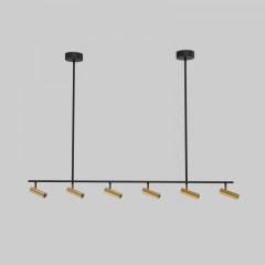 Спот Eurosvet 20252/6 LED черный/латунь