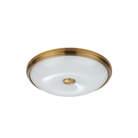 Накладной светильник Odeon Light 4956/4