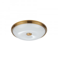 Накладной светильник Odeon Light 4956/4