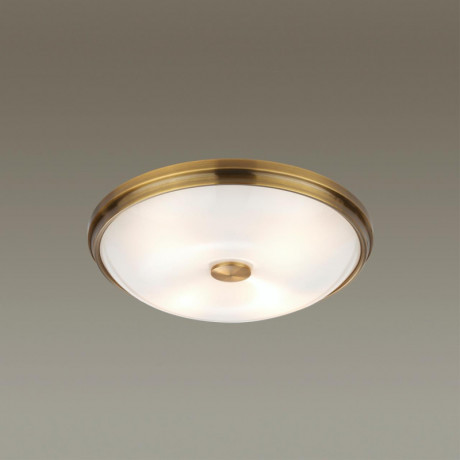 Накладной светильник Odeon Light 4956/4