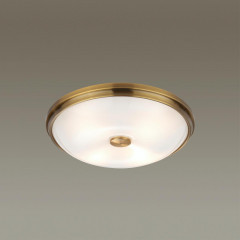 Накладной светильник Odeon Light 4956/4