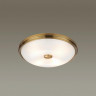 Накладной светильник Odeon Light 4956/4