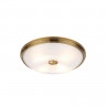 Накладной светильник Odeon Light 4956/4