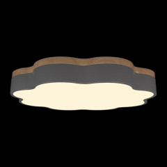 Накладной светильник LOFT IT 10225/36 Grey