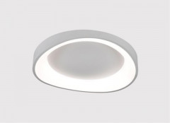Накладной светильник ARTE Lamp A2698PL-60WH