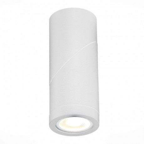 Накладной светильник ST-Luce ST650.502.01