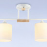 Накладной светильник Ambrella Light TR9541
