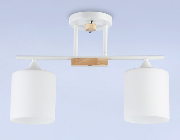 Накладной светильник Ambrella Light TR9541