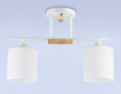 Накладной светильник Ambrella Light TR9541