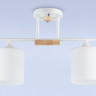 Накладной светильник Ambrella Light TR9541