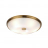 Накладной светильник Odeon Light 4956/5