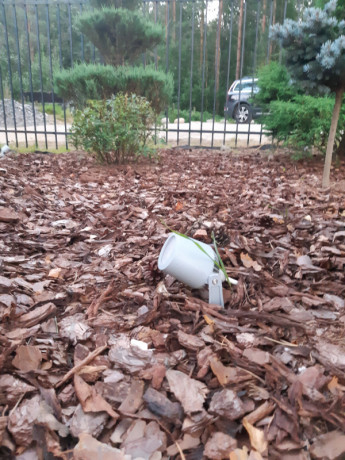 Грунтовый светильник Fumagalli 1M1.001.000.LXU1L