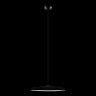 Подвесной светильник LOFT IT 10119 Black