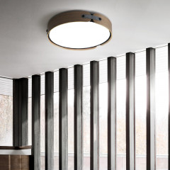 Накладной светильник ImperiumLoft 195542-26