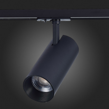 Светильник на шине ST-Luce ST350.446.30.24