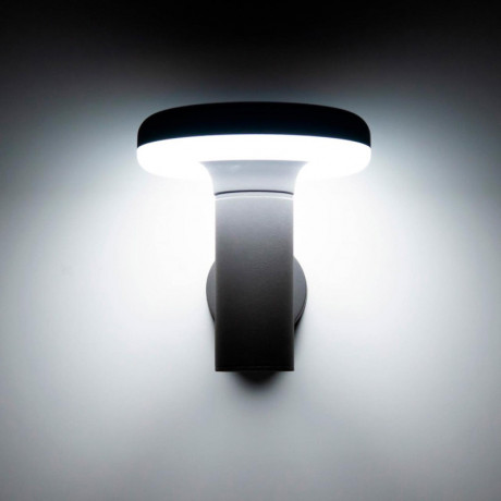 Светильник настенный Citilux CLU01W