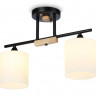 Накладной светильник Ambrella Light TR9543
