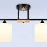 Накладной светильник Ambrella Light TR9543
