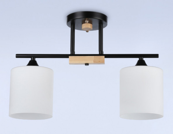 Накладной светильник Ambrella Light TR9543