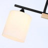 Накладной светильник Ambrella Light TR9543