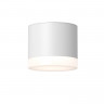 Влагозащищенный светильник Maytoni Technical C087CL-GX53-W
