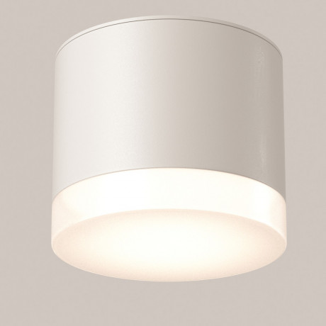 Влагозащищенный светильник Maytoni Technical C087CL-GX53-W