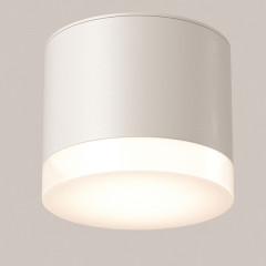 Влагозащищенный светильник Maytoni Technical C087CL-GX53-W