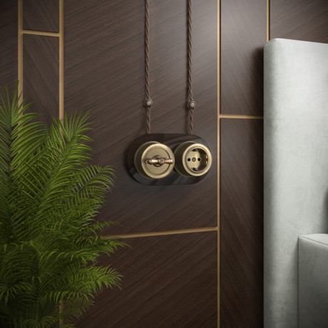 Розетка Werkel WL19-10-01 (Бронзовый)