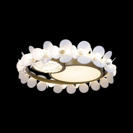 Потолочный детский светильник LOFT IT 10173