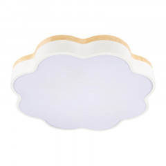 Накладной светильник LOFT IT 10225/36 White