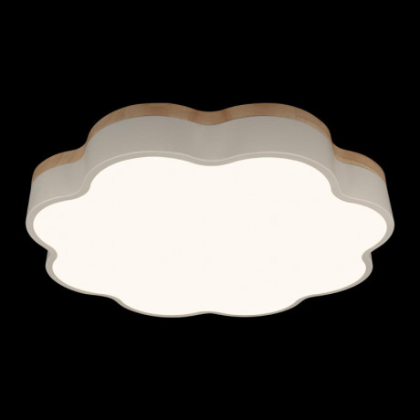 Накладной светильник LOFT IT 10225/36 White