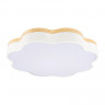 Накладной светильник LOFT IT 10225/36 White