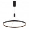 Подвесной светильник Ambrella Light FL5856