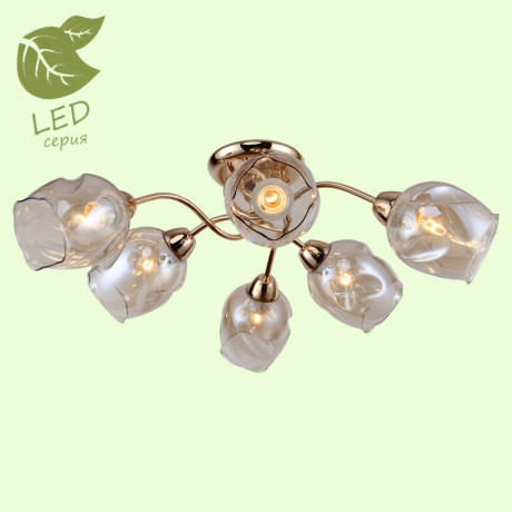 Накладная люстра Lussole GRLSP-8086