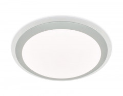 Накладной светильник Ambrella Light FF50