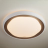 Накладной светильник Eurosvet 40006/1 LED кофе