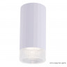 Накладной светильник Crystal Lux CLT 048C WH