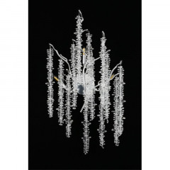 Бра APLOYT APL.848.11.03