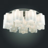 Накладная люстра ST-Luce SL116.052.12