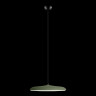 Потолочный детский светильник LOFT IT 10119 Green