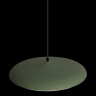 Потолочный детский светильник LOFT IT 10119 Green
